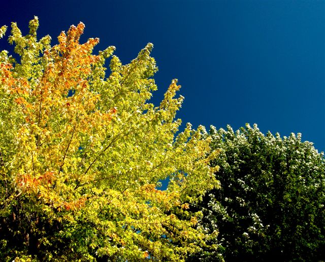 Banner Elk September 2006 (14)