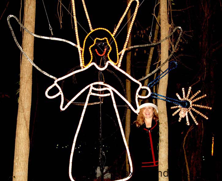 Christmas Eve - James Island County Park (4)