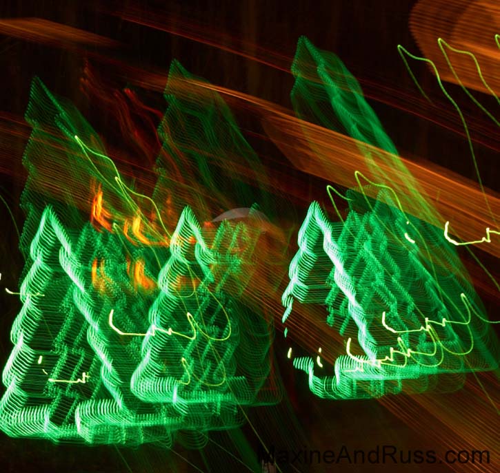 Christmas Eve - James Island County Park (7)