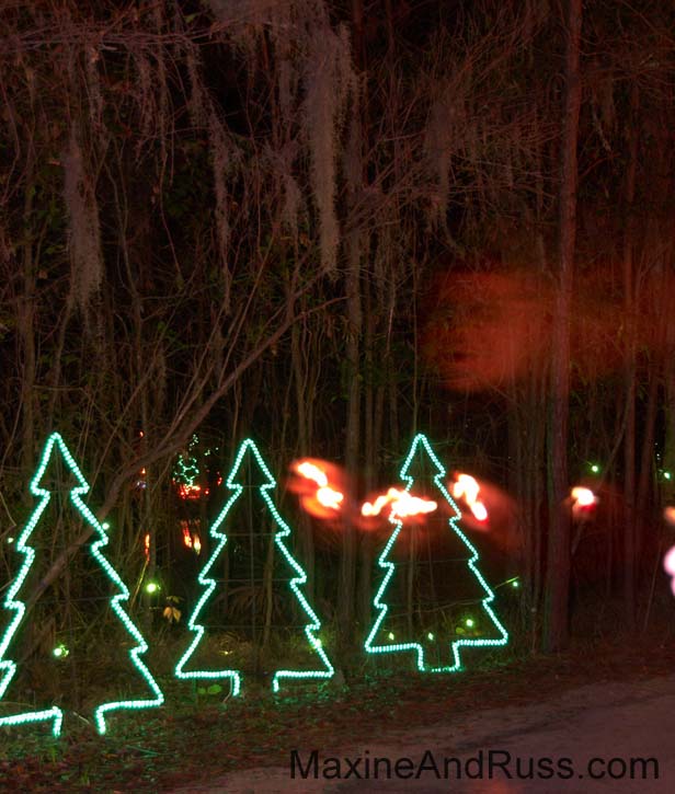 Christmas Eve - James Island County Park (9)