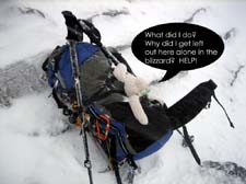 Mt.Rainier Sept 2007 (26)