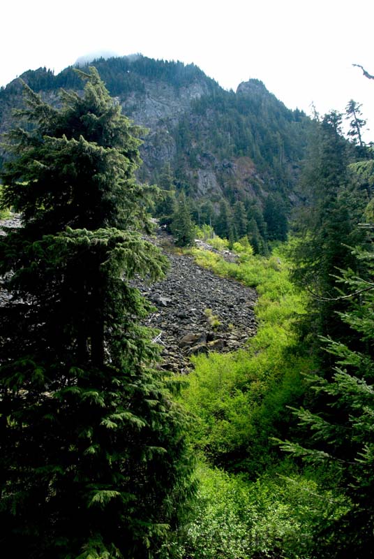 Mount Rainier June 2007 (011)