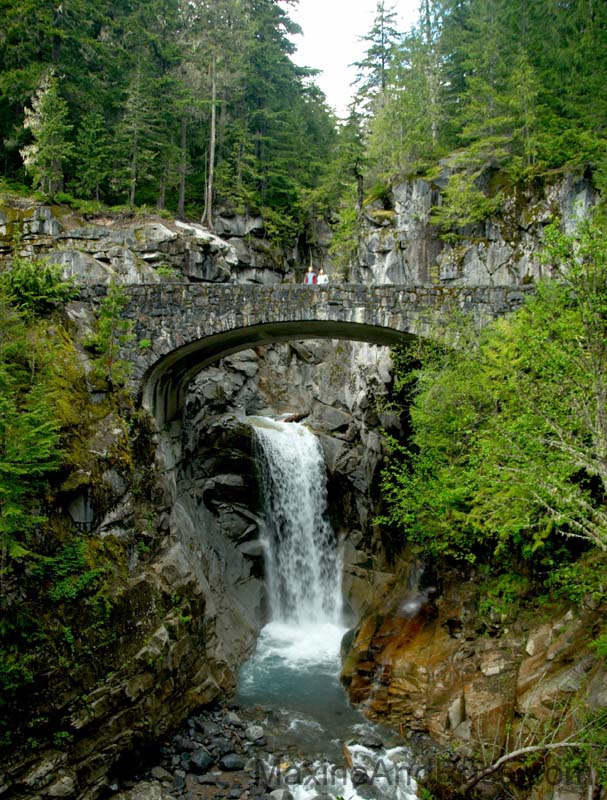 Mount Rainier June 2007 (013)