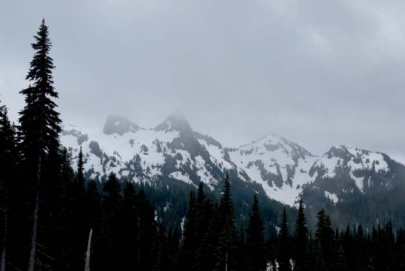 Mount Rainier June 2007 (016)