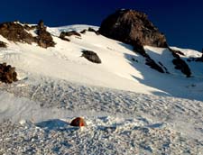 Mount Rainier June 2007 (052)