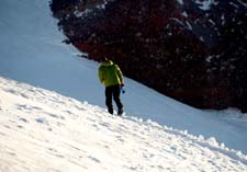 Mount Rainier June 2007 (057)