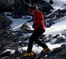 Mount Rainier June 2007 (076)