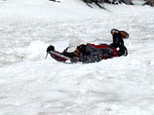 Mount Rainier June 2007 (091)