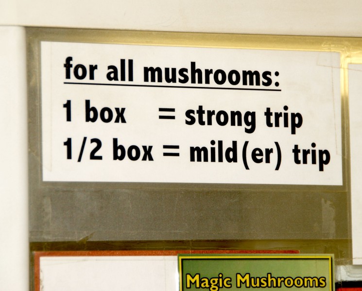 Holland Amsterdam (20).jpg