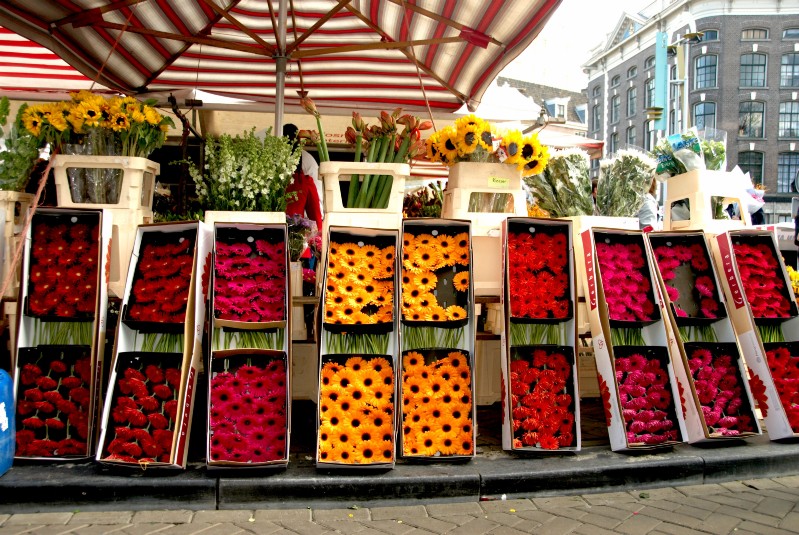 Holland Amsterdam (21).jpg