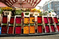 Holland Amsterdam (21).jpg