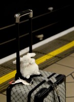 Holland Amsterdam.jpg