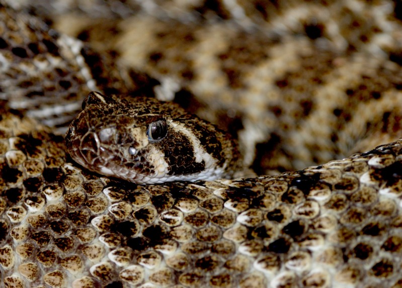 Labor Day 2008 (26).jpg