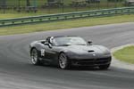 Viper