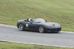 Viper