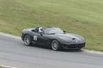 Viper