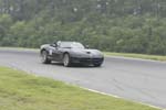 Viper